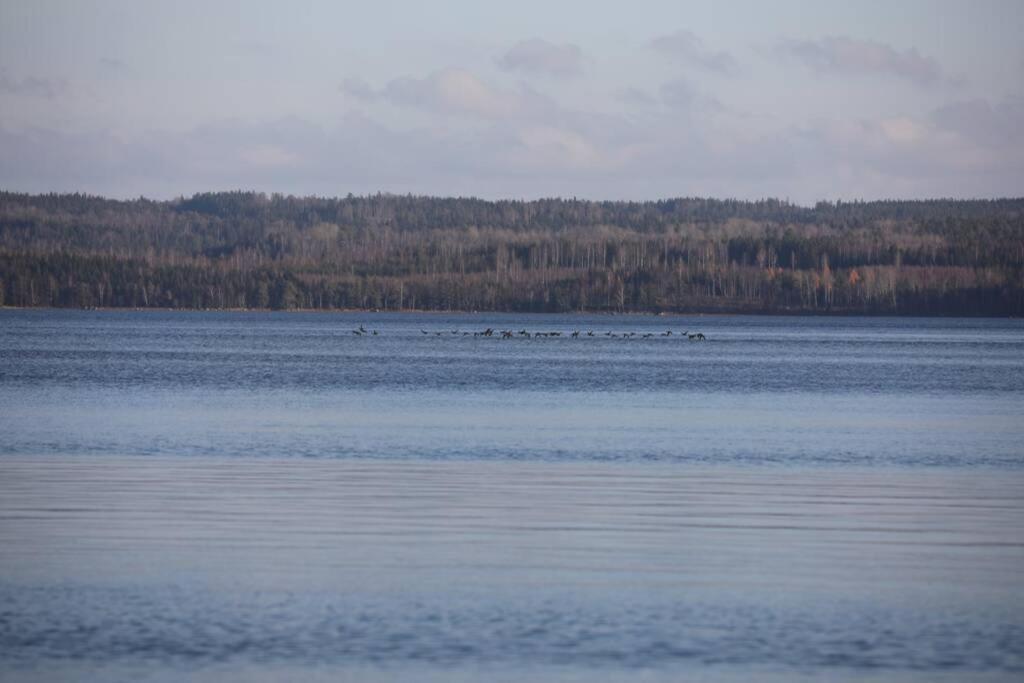 Sjoenaera Stuga Med Bat Och Bastu Ramkvilla Bagian luar foto